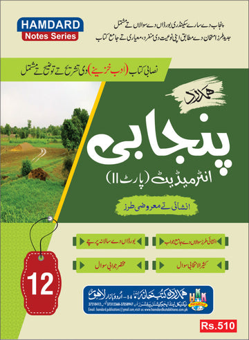 Punjabi 12th Class